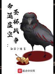 圣杯战争之命运张三指定