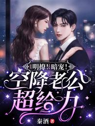 明撩暗宠空降老公超给力