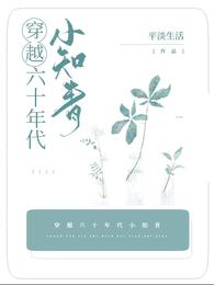 穿越六十年代小知青 平淡生活