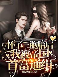 我被帝国首富通缉正版