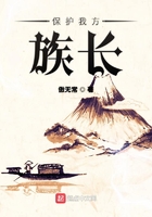 保护我方族长免费阅读