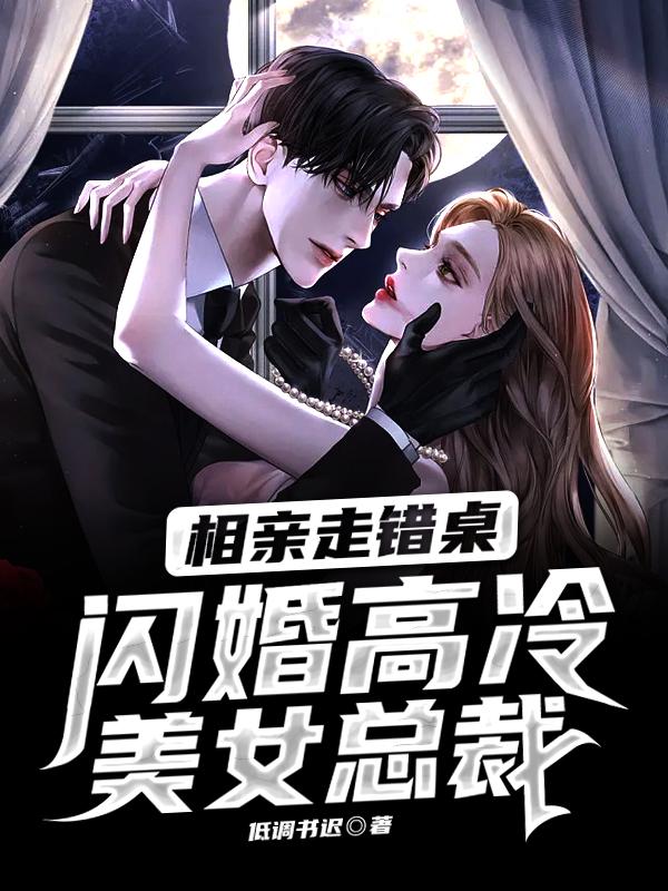 闪婚高冷美女总裁几女主