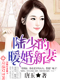 陆少的暖婚新妻讲的什么