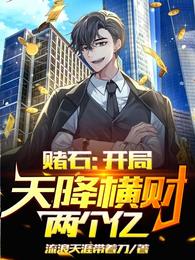 赌石开局天降横财两个亿全文免费