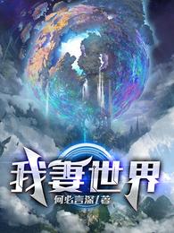 我的世界主角老婆
