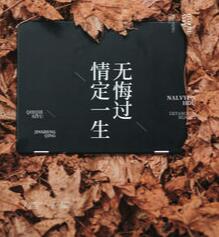 重回七十年代陈丽姝
