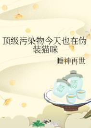 顶级污染物今天也在伪装猫咪 作者睡神再世简介