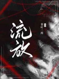 流放编年史官网