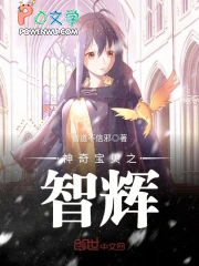 神奇宝贝之智辉 第一