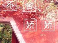 不舍娇娇免费阅读