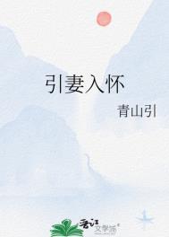 引妻入怀古言