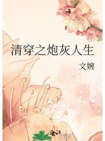 清穿之炮灰人生txt