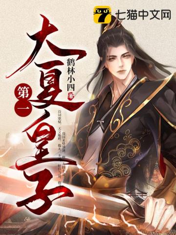 大夏第一皇子嬴天