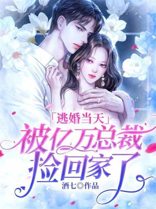 逃婚当天被亿万总裁捡回家了txt