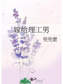 嫁给理工男讲了什么