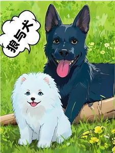 狼与犬的战争炫浪