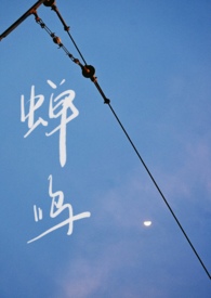蝉鸣声是什么意思