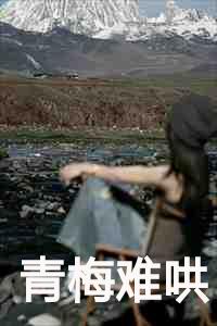 青梅难哄讲的什么