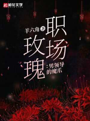 隐形铠甲 司太立合金