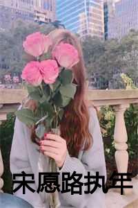 宋愿路执年免费阅读