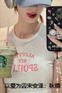 以爱为囚宋安泽秋晚清第十一章