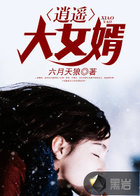 逍遥女婿岳母林美玉阅读