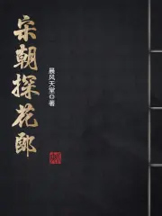 宋朝探花郎TXT