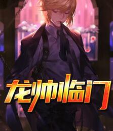 主角叶不凡徐婉清