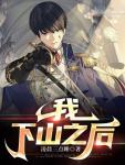 我下山之后苏辰大结局是什么