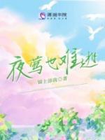 沈初傅言的结局