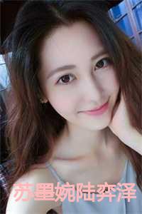 苏墨婉陆弈泽古代免费阅读全文