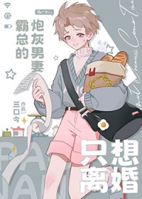 霸总的炮灰男妻只想离婚 三口今 笔趣阁
