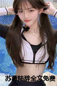 苏辞陆浅是什么