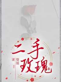 二手玫瑰哎呀我说命运啊是什么歌
