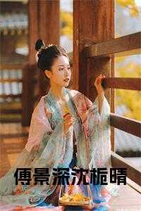 沈栀晴傅景深苗洛浅名字是什么