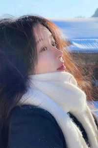 贺强柳如烟完结文一口气看完