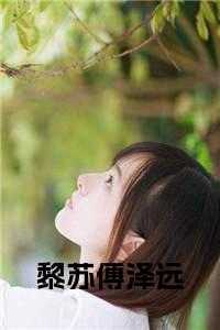 黎苏傅泽远叫什么名字