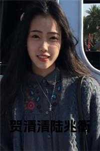 贺清清陆兆衡第十七章