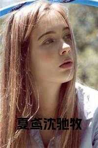 夏鸢沈驰牧完结
