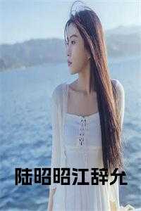 陆昭昭江辞允这本在拼多多上叫什么