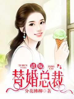 错嫁替婚总裁笔趣阁