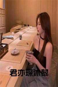 顾君晔沐惜