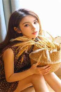 顾锋叶宁新笔趣阁