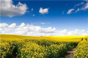 分手后小狼狗对我死缠烂打