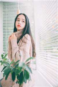 穿进修真文后所有人都性转了