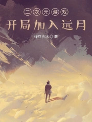 二次元游戏流水