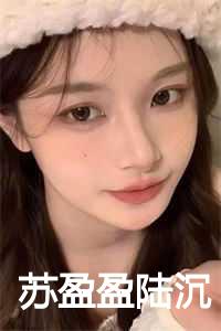 陆沉苏盈盈军婚最新章节