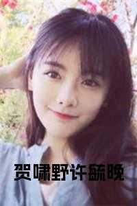 贺啸野许毓晚知了好学
