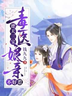 一胎三宝毒医娘亲不好惹