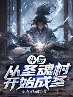斗罗从圣魂村开始成圣小小飞师傅 / 著